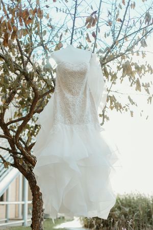 White lace wedding dress with ruffled skirt hanging on a tree branch outdoors.