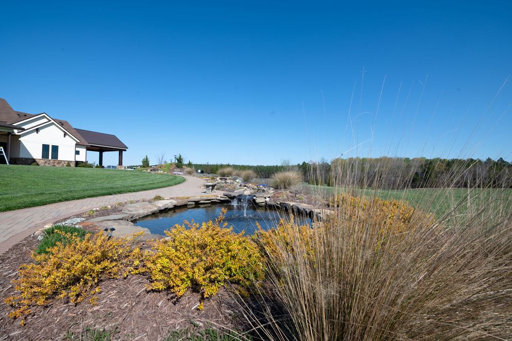 Landscaped pond with yellow shrubs, winding path, and a house under a clear blue sky.