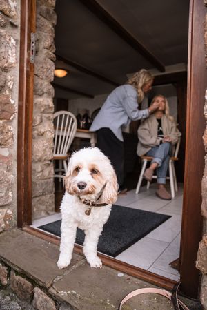 A fluffy white Labradoodle stands in a rustic stone doorway while two women chat inside a cozy cottage.