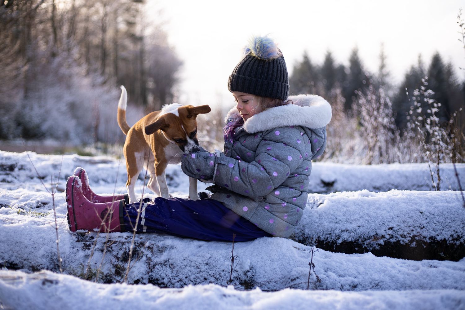 dog and daughter playing in snow