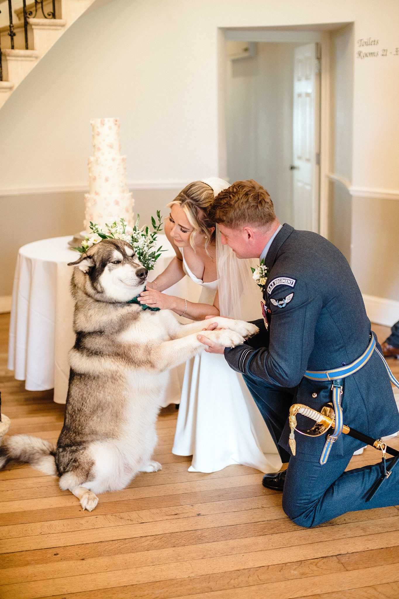 Bride and groom in military uniform kneel to greet their Alaskan Malamute dog near wedding cake indoors.