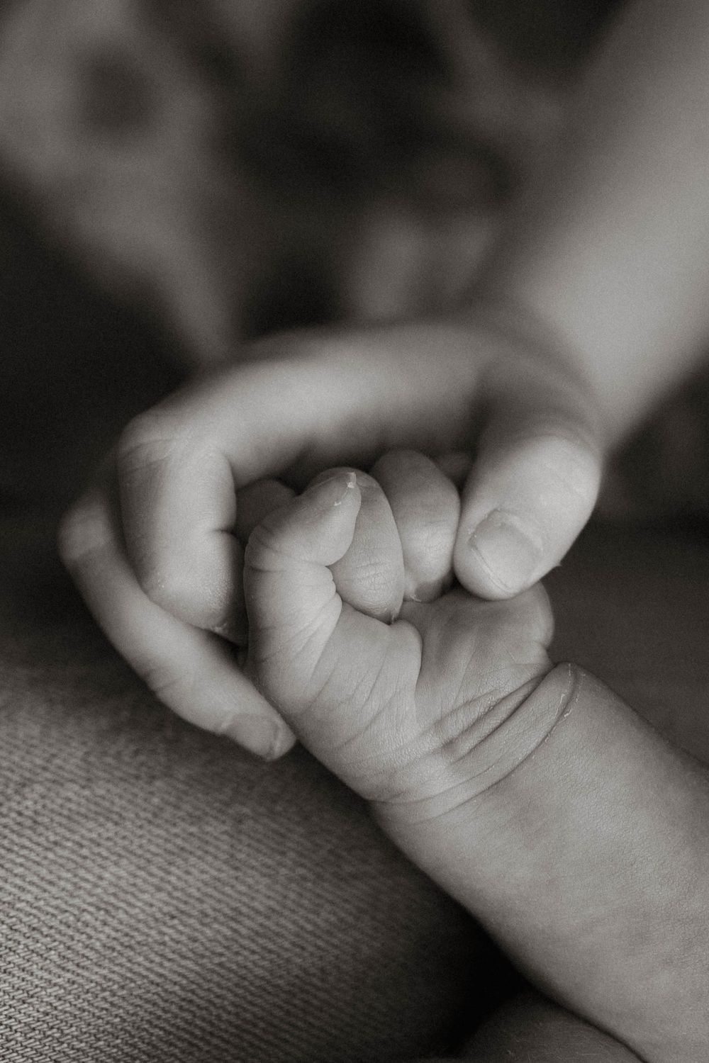 Family-photographer-Palmerston-North