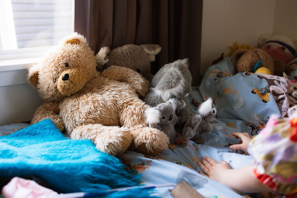 Family-photographer-Palmerston-North