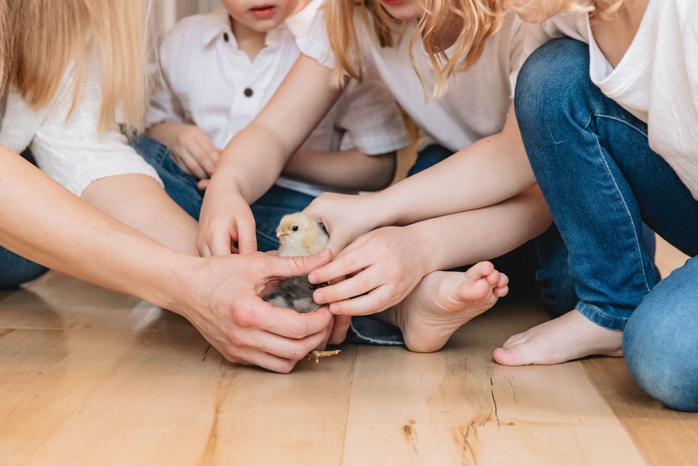 Children and adult sitting on floor together gently holding small baby chicks in hands.