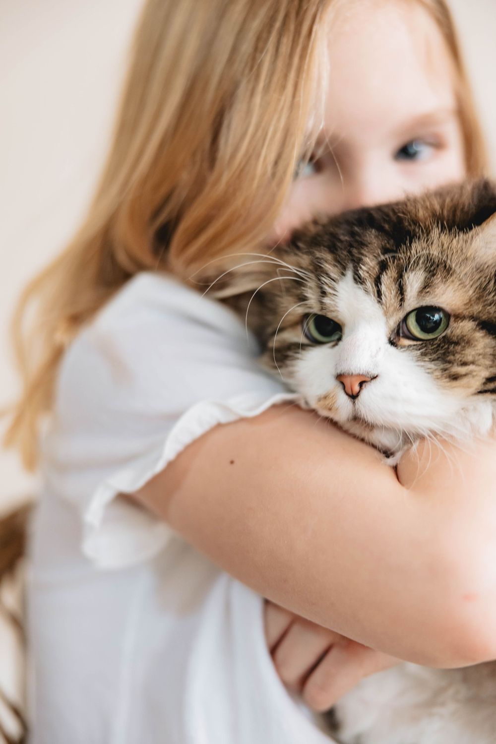 Young blonde girl in white dress tenderly hugging a tabby cat with green eyes close to her chest.