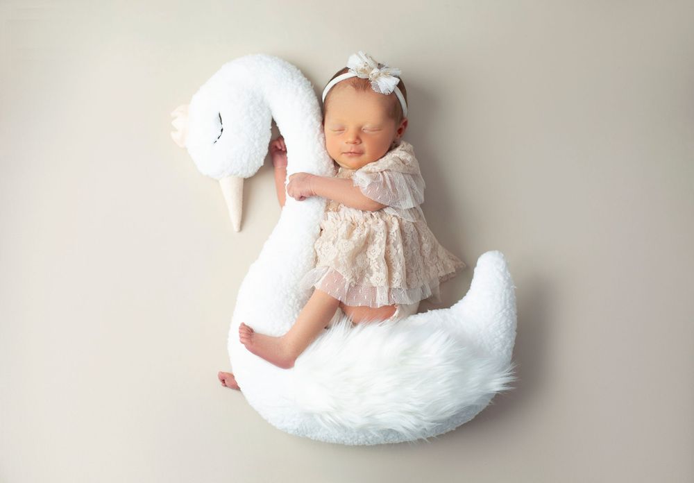 baby photography