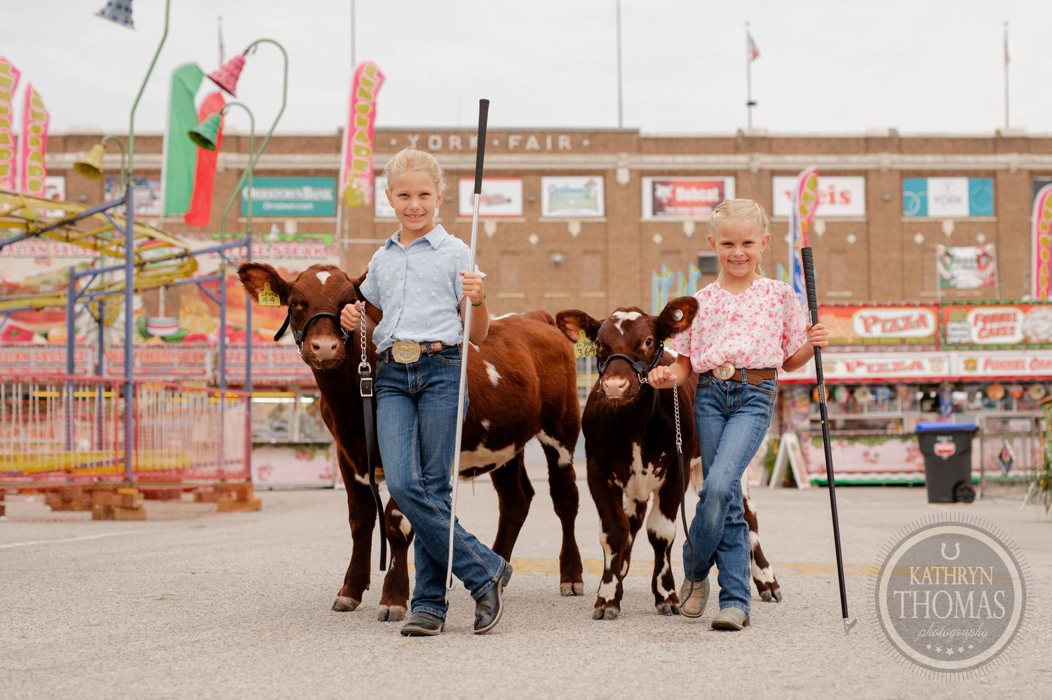Two people leading dairy calves across fairgrounds with carnival rides in background.
