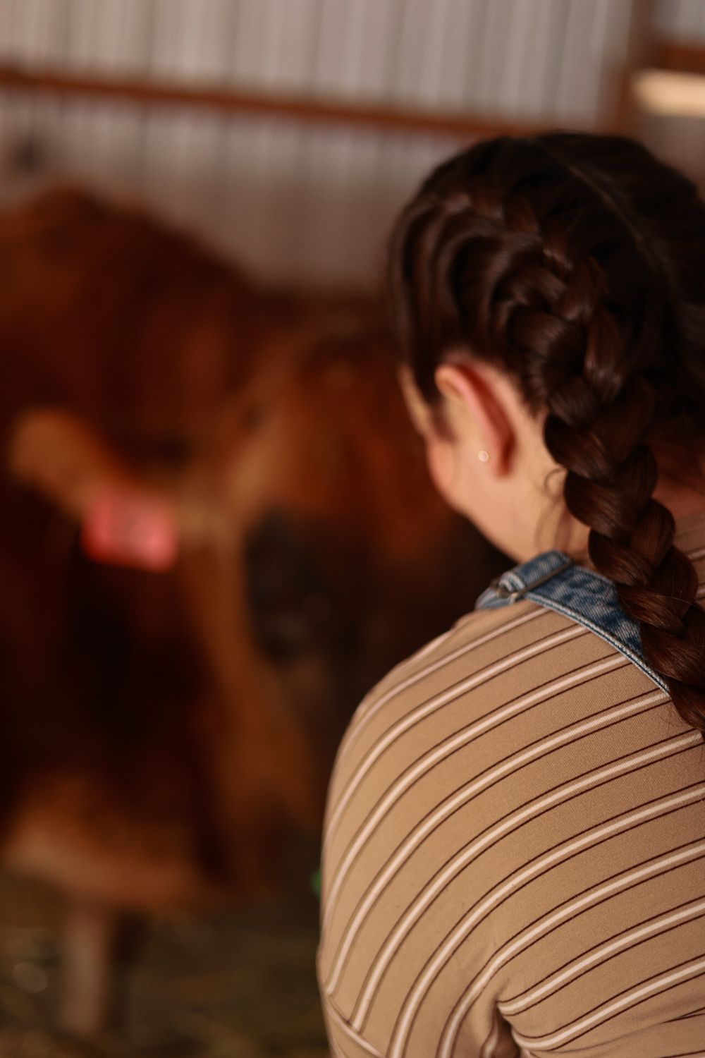 Person with a long french braid wearing a striped shirt looking away from camera in a barn.