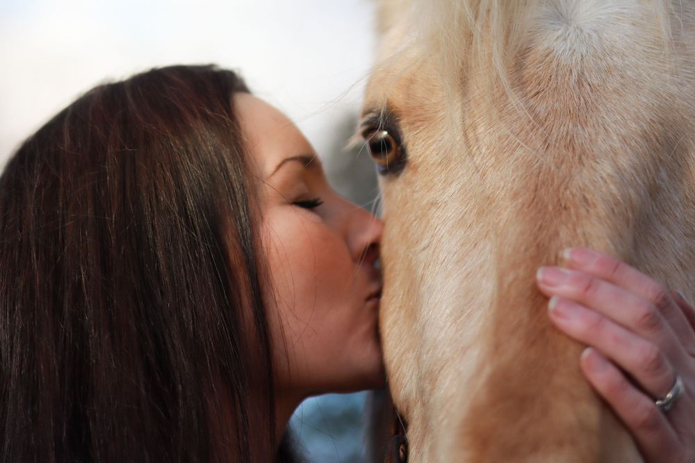 A close up of a person giving a gentle kiss to a palomino horse's face.
