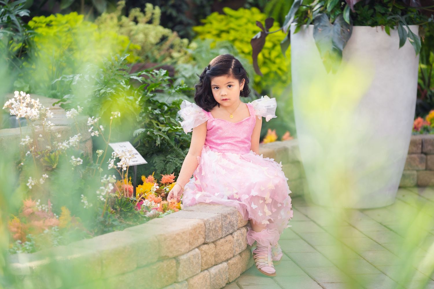 7th Birthday Photo