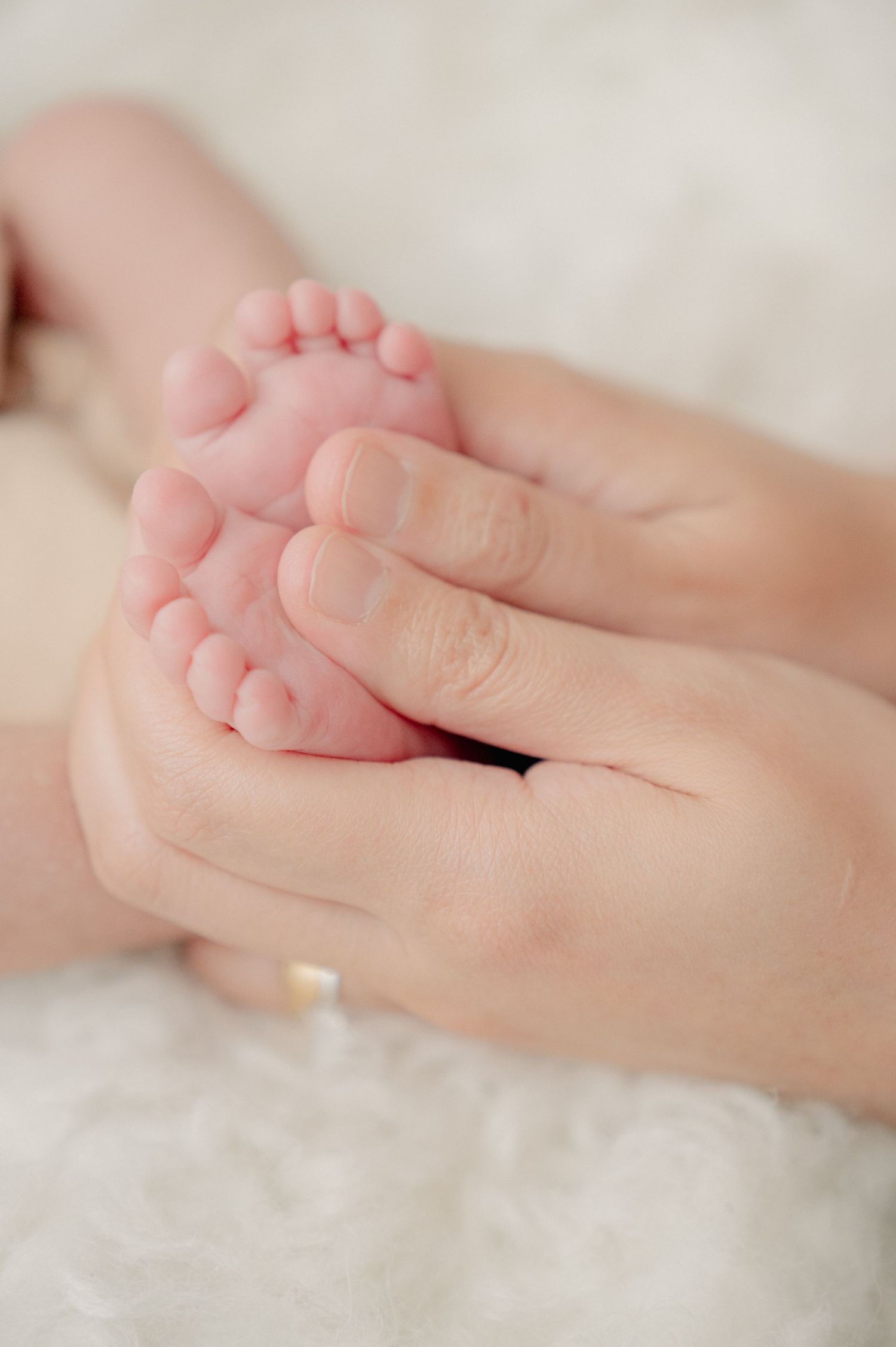 Close-up of gentle hands holding tiny newborn feet against white background.