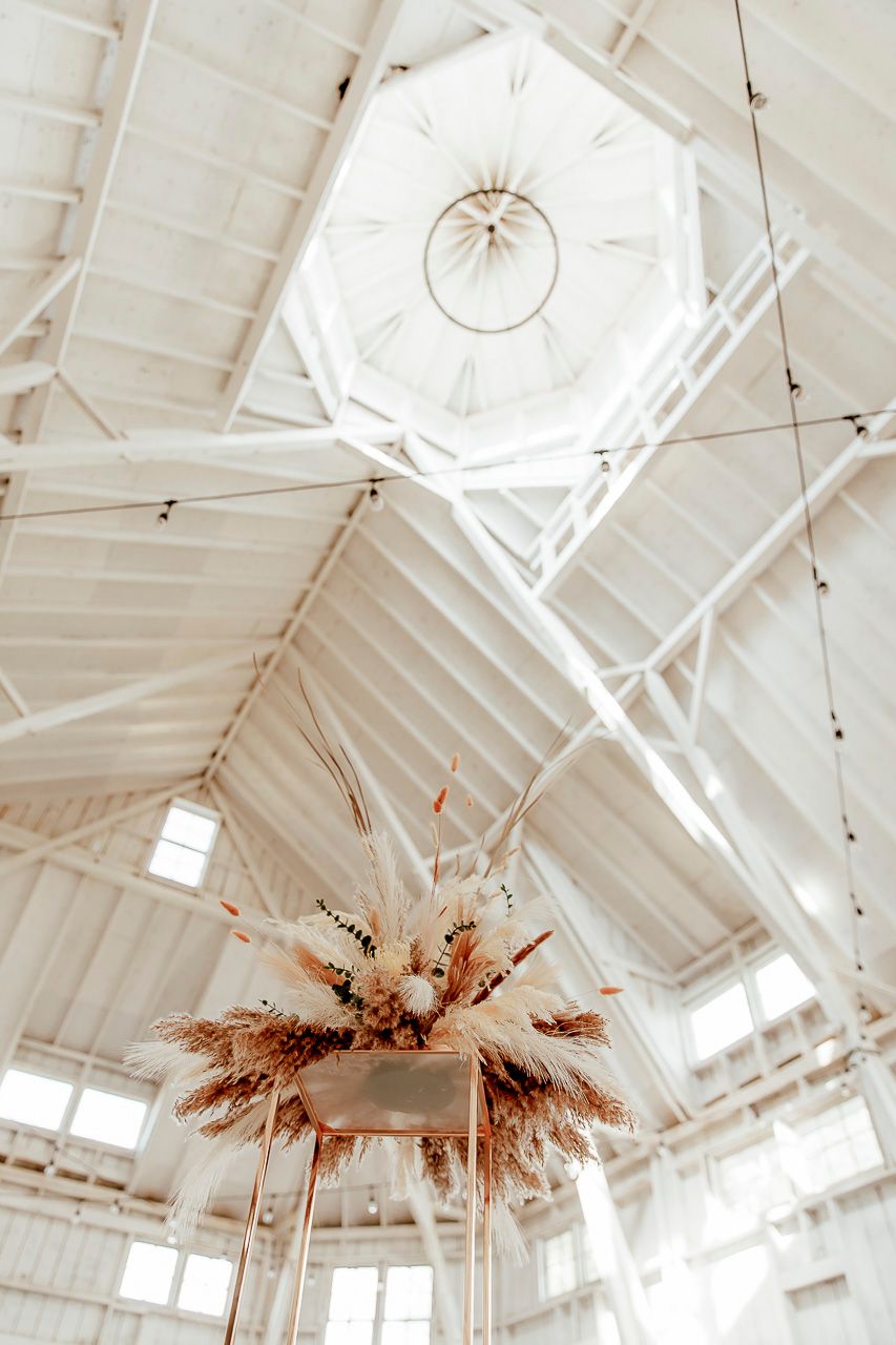 Ornate white octagonal ceiling with hanging dried pampas grass arrangement in light-filled architectural interior space.
