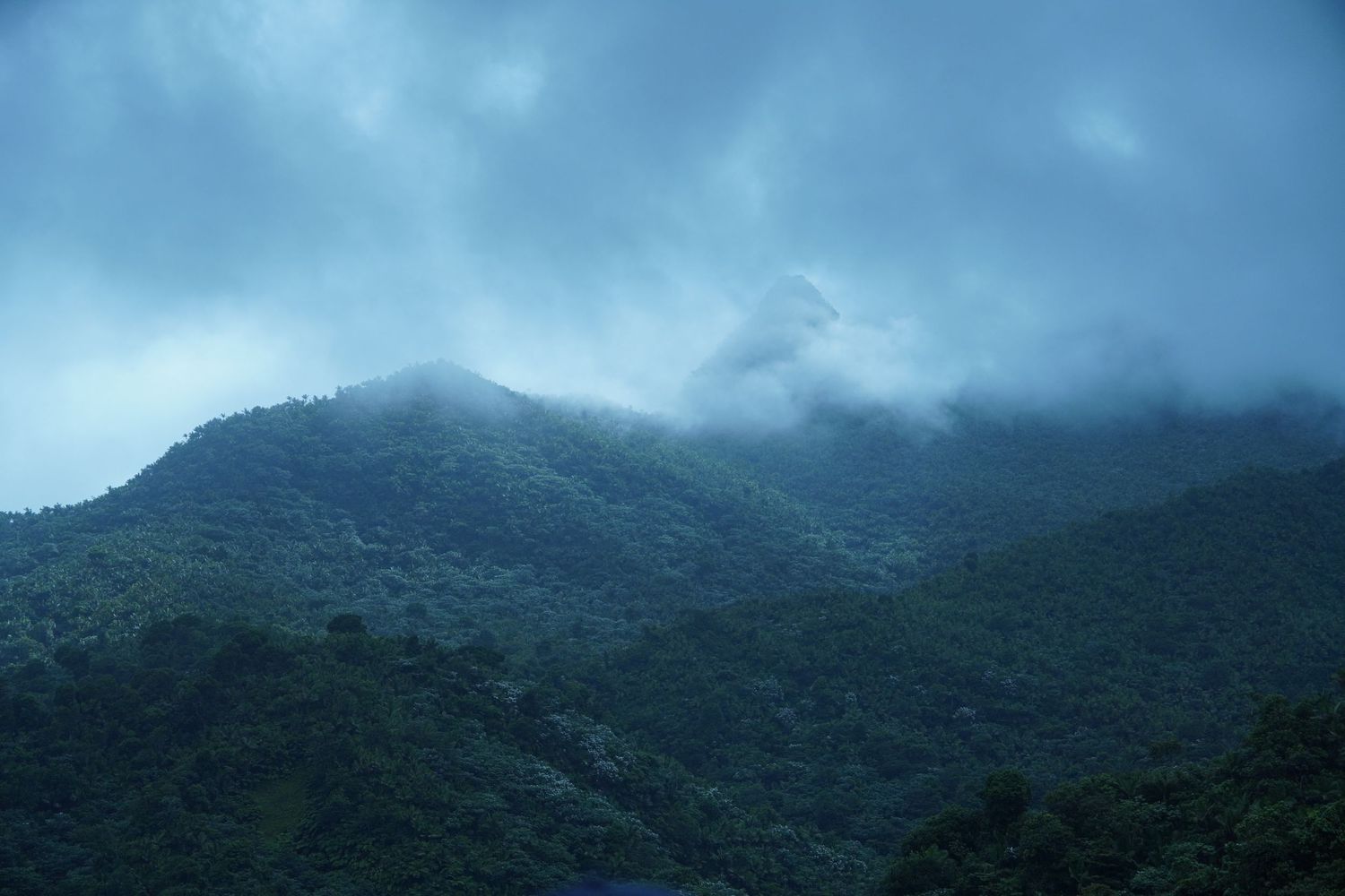 Misty mountain landscape covered in lush green forest under moody cloudy skies.