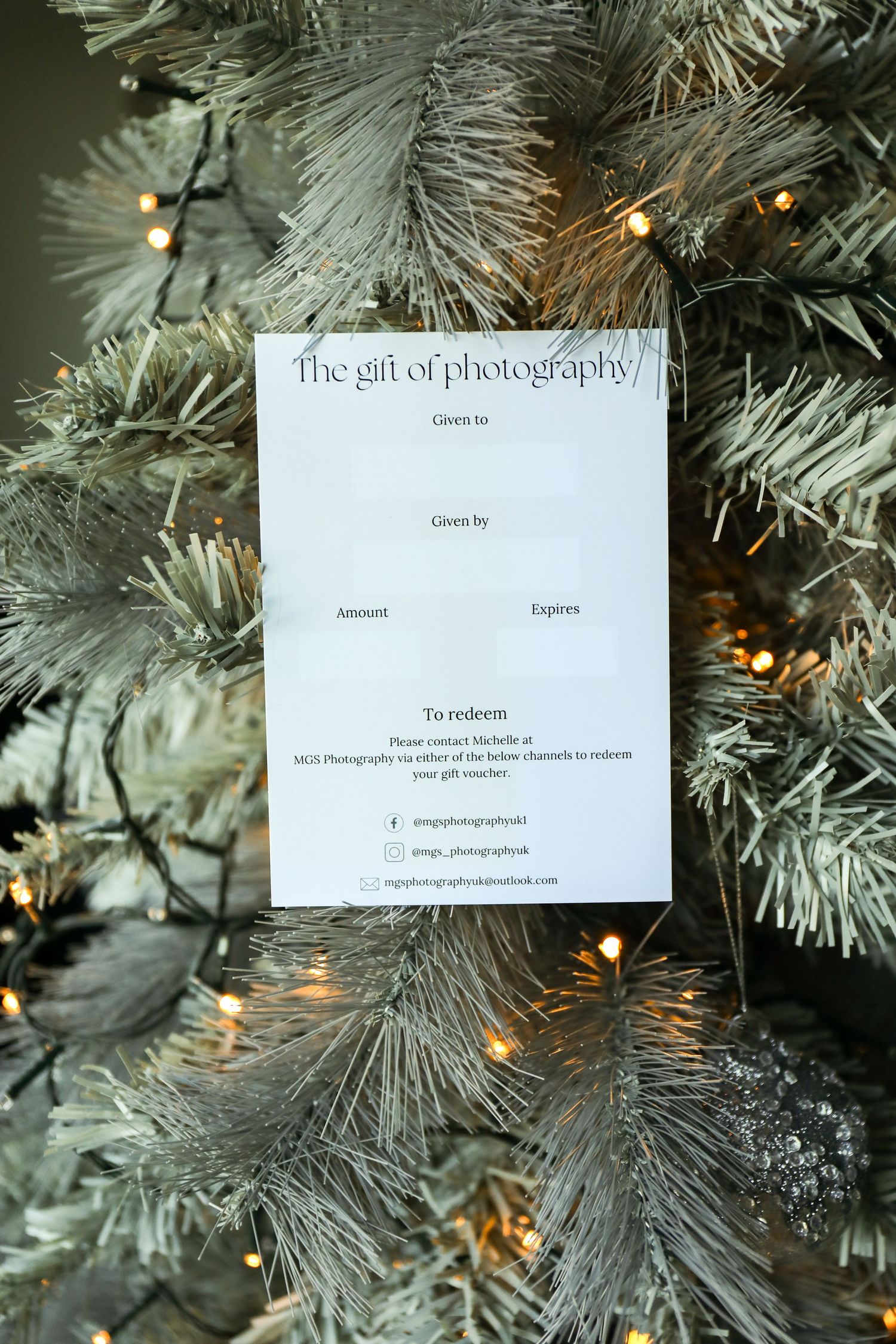 Christmas tree branches with twinkling lights with gift voucher nestled among creating a festive display, Family photography Nottingham