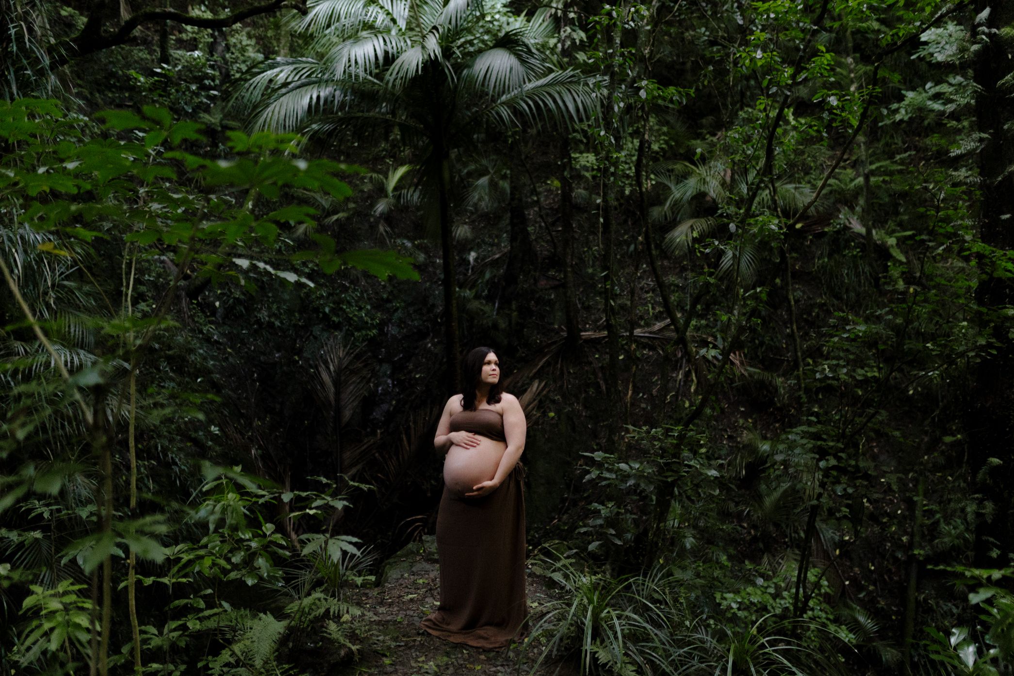 A lush green forest scene with dense foliage and tropical vegetation creates a natural wilderness atmosphere.