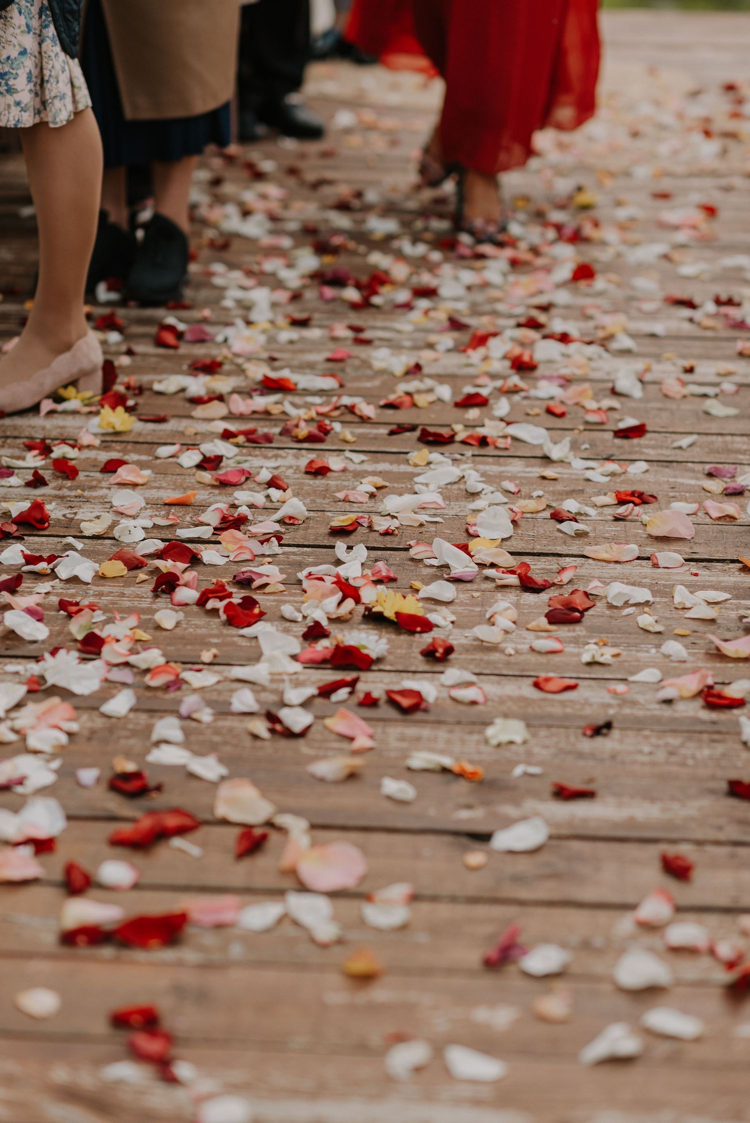 Red and pink rose petals scattered across wooden floorboards create a romantic wedding scene.