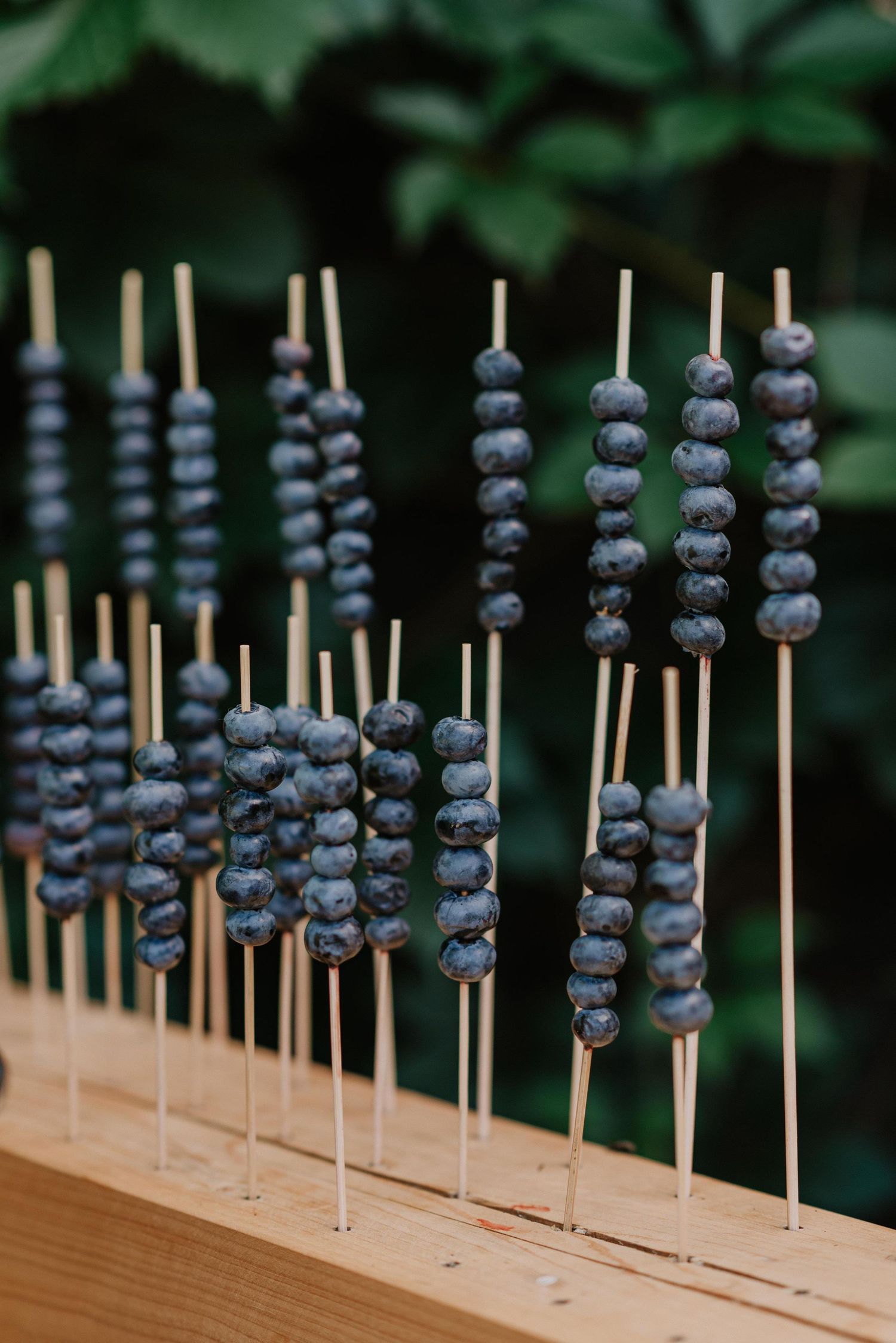 Fresh blueberries arranged on wooden skewers as elegant wedding appetizers.