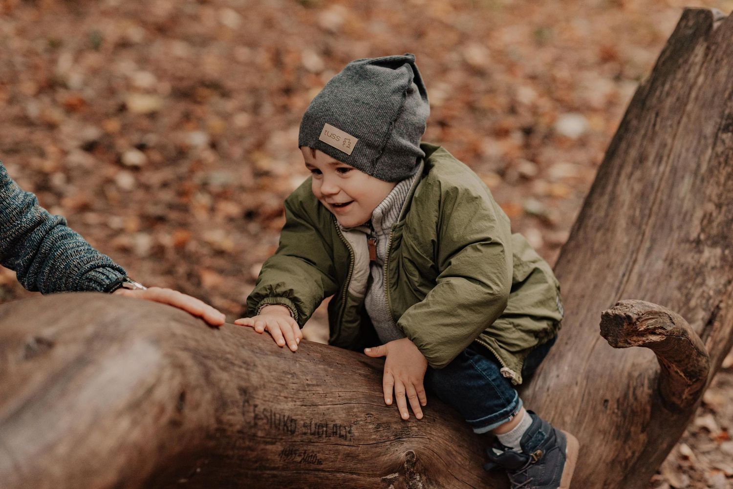 A person in olive green jacket sits on fallen autumn leaves in a forest setting while petting a brown dog.