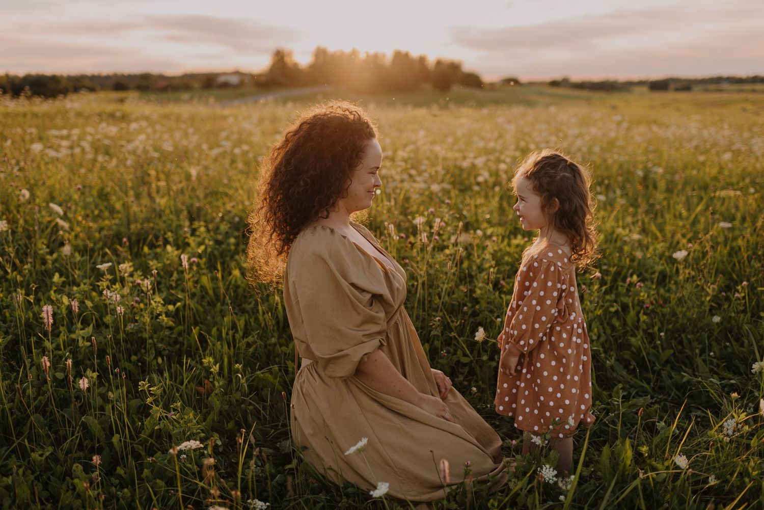 Two figures share a tender moment while standing in a golden wildflower field at sunset.