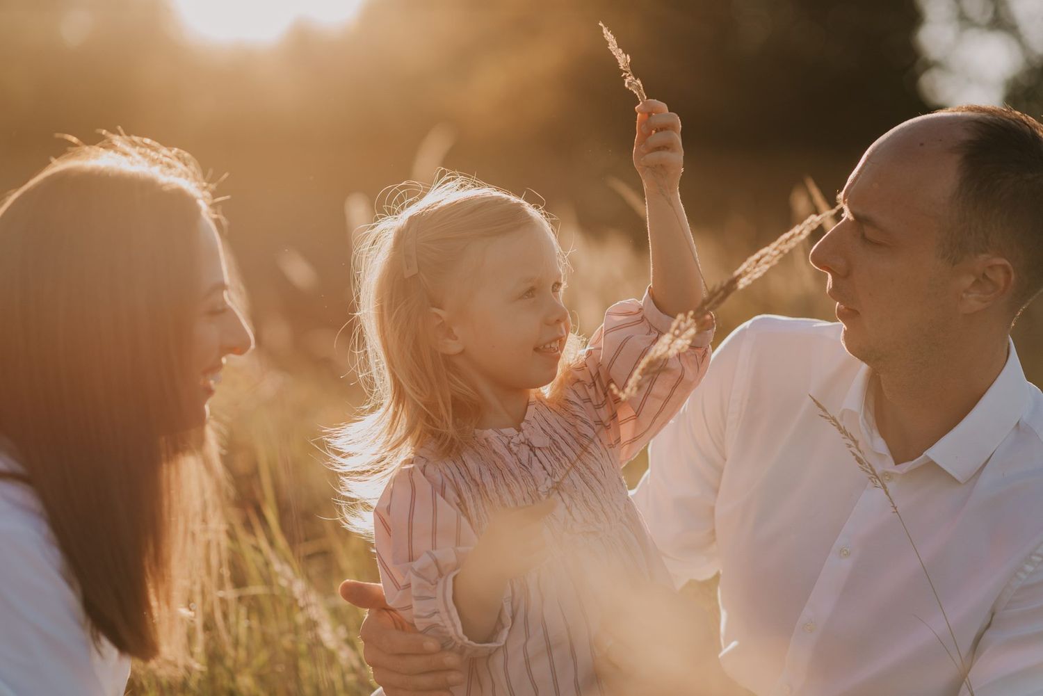 Intimate family portrait with sunset backlighting in a summer field.