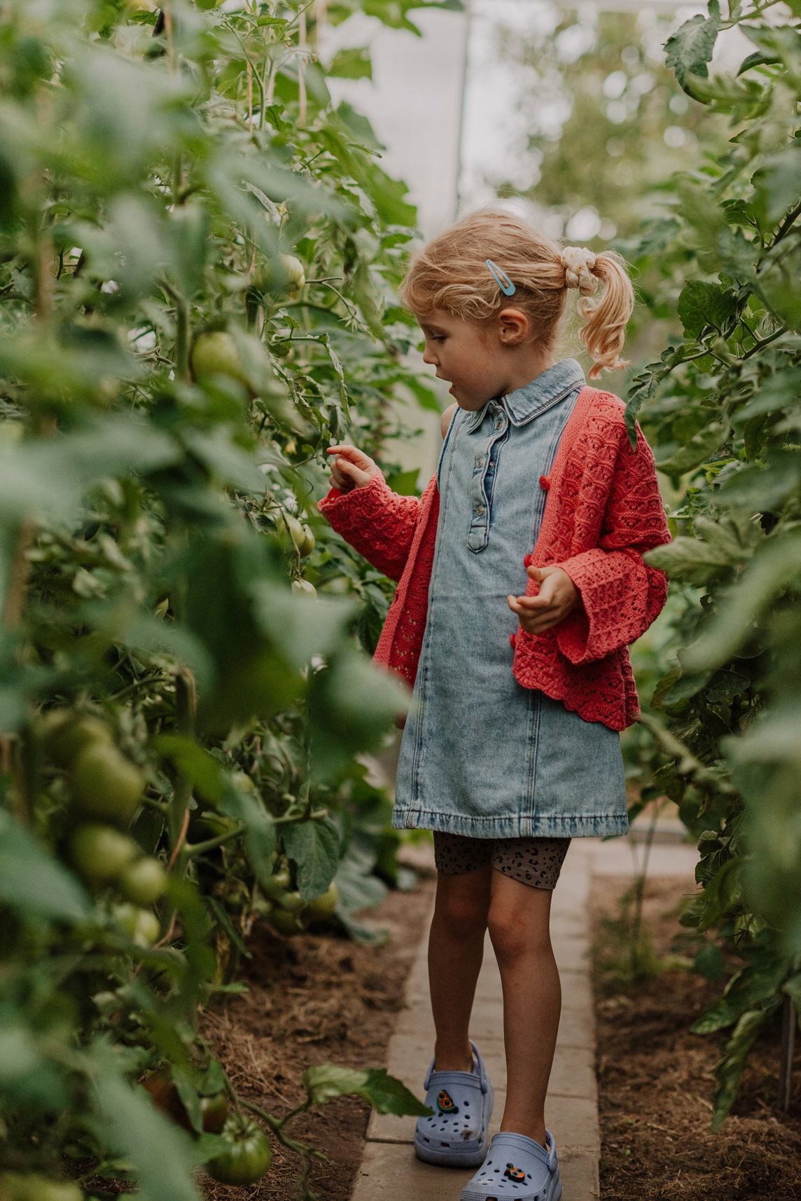 A young gardener wearing a denim dress and red sweater explores growing plants in a garden.
