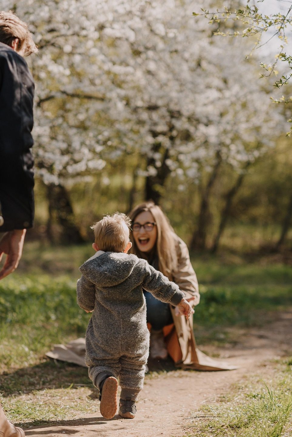 Family enjoying a spring day under blooming cherry blossoms on a dirt path.