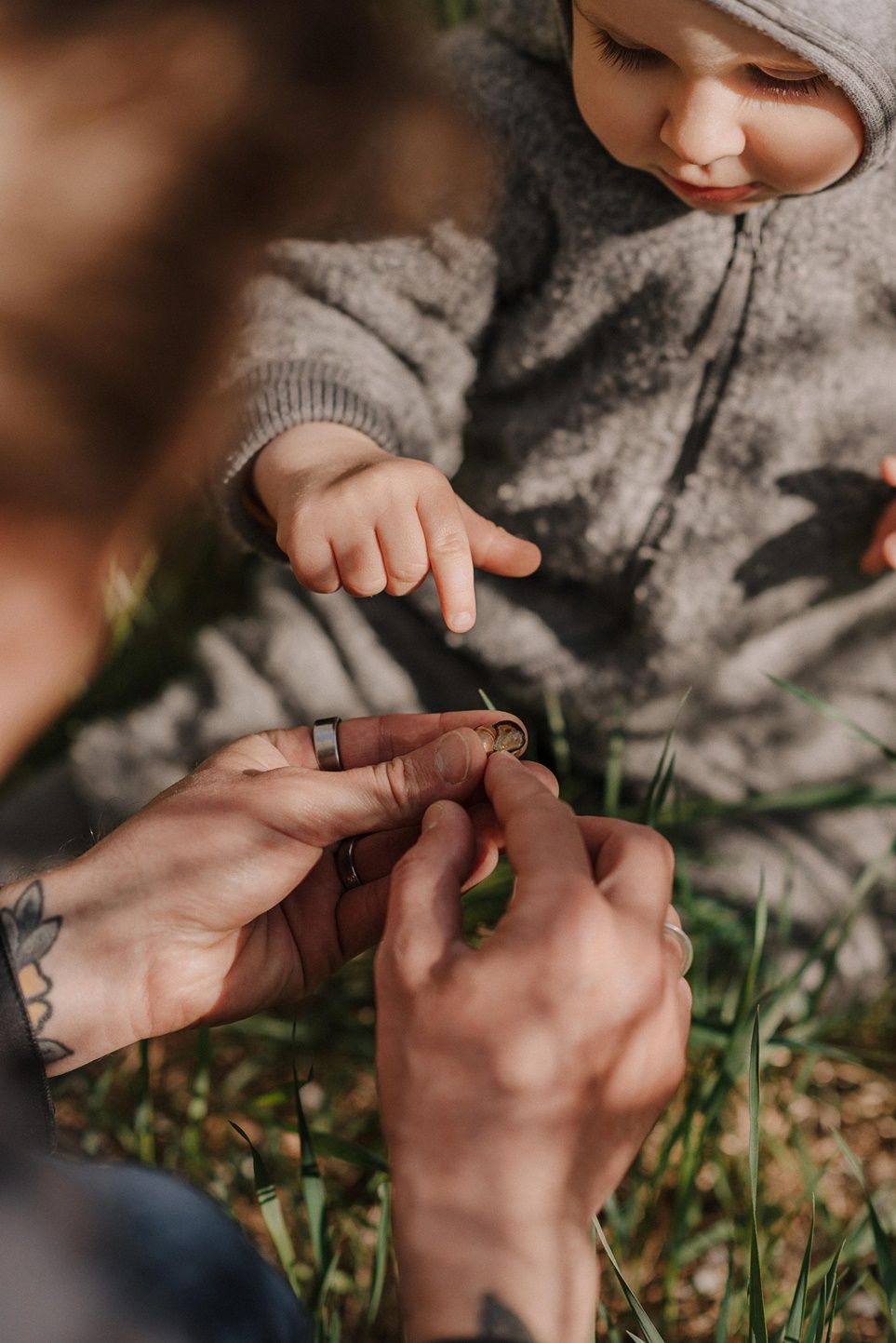 Close-up shot of hands touching grass in sunlight.