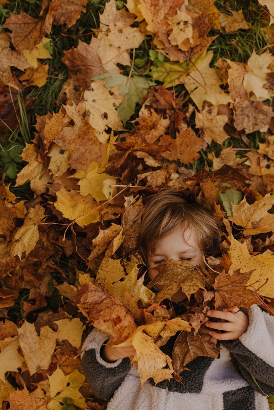 Someone lying in a bed of colorful fallen autumn leaves.