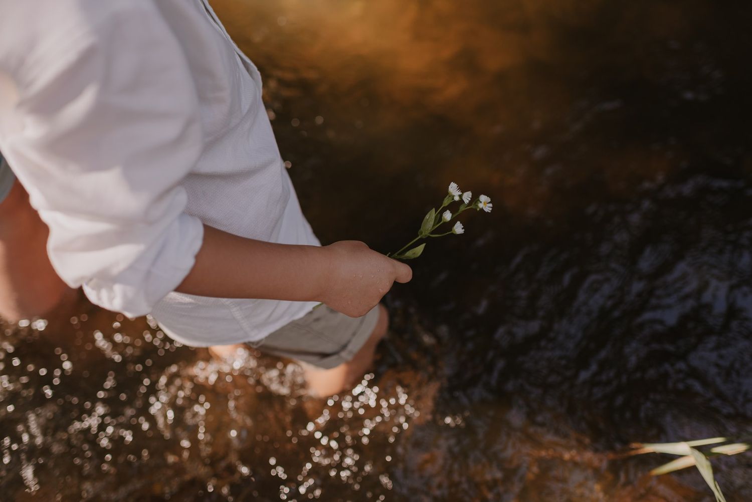 Sunlit water droplets sparkle as someone splashes in a creek on a summer afternoon.