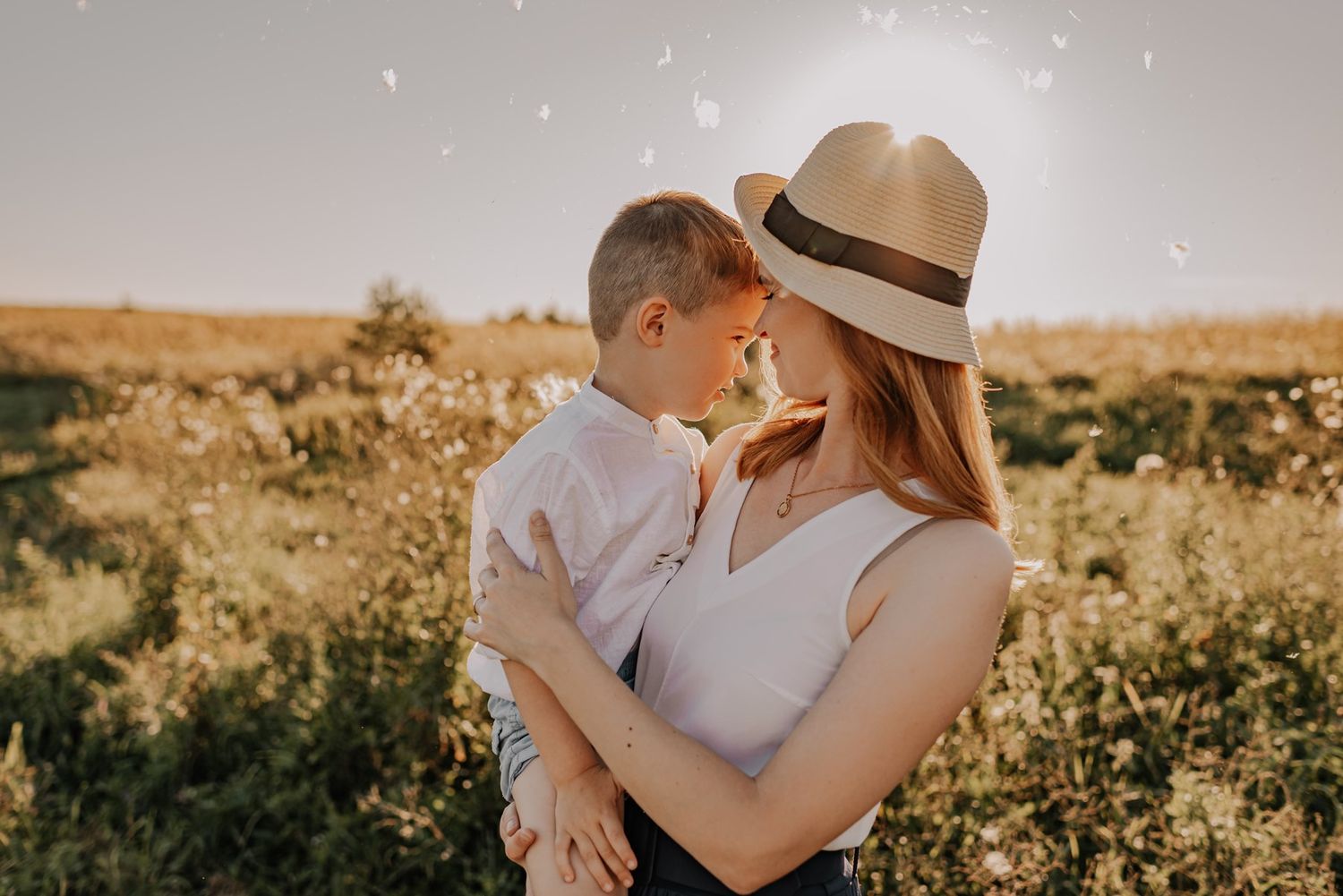 Tender family moments captured against a warm golden backdrop in a field.
