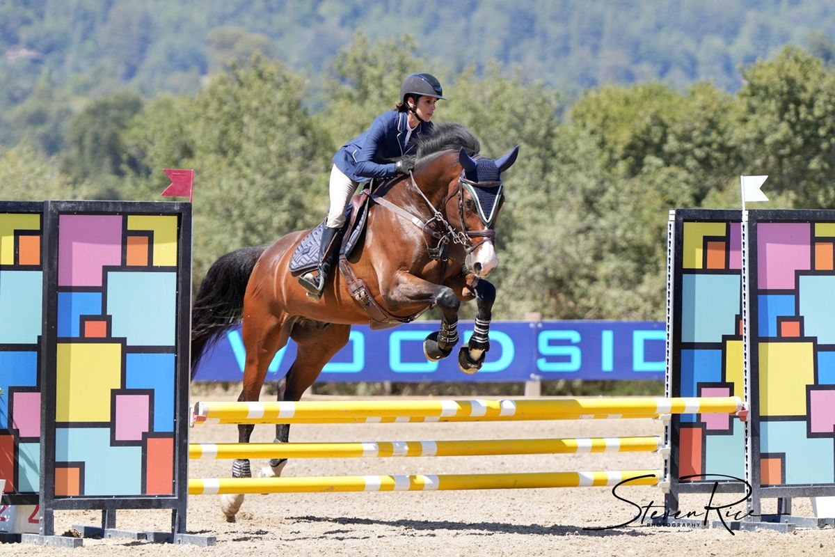 West Palms Silicon Valley Festival Hunter Jumper equestrian show, the Horse Park at Woodside