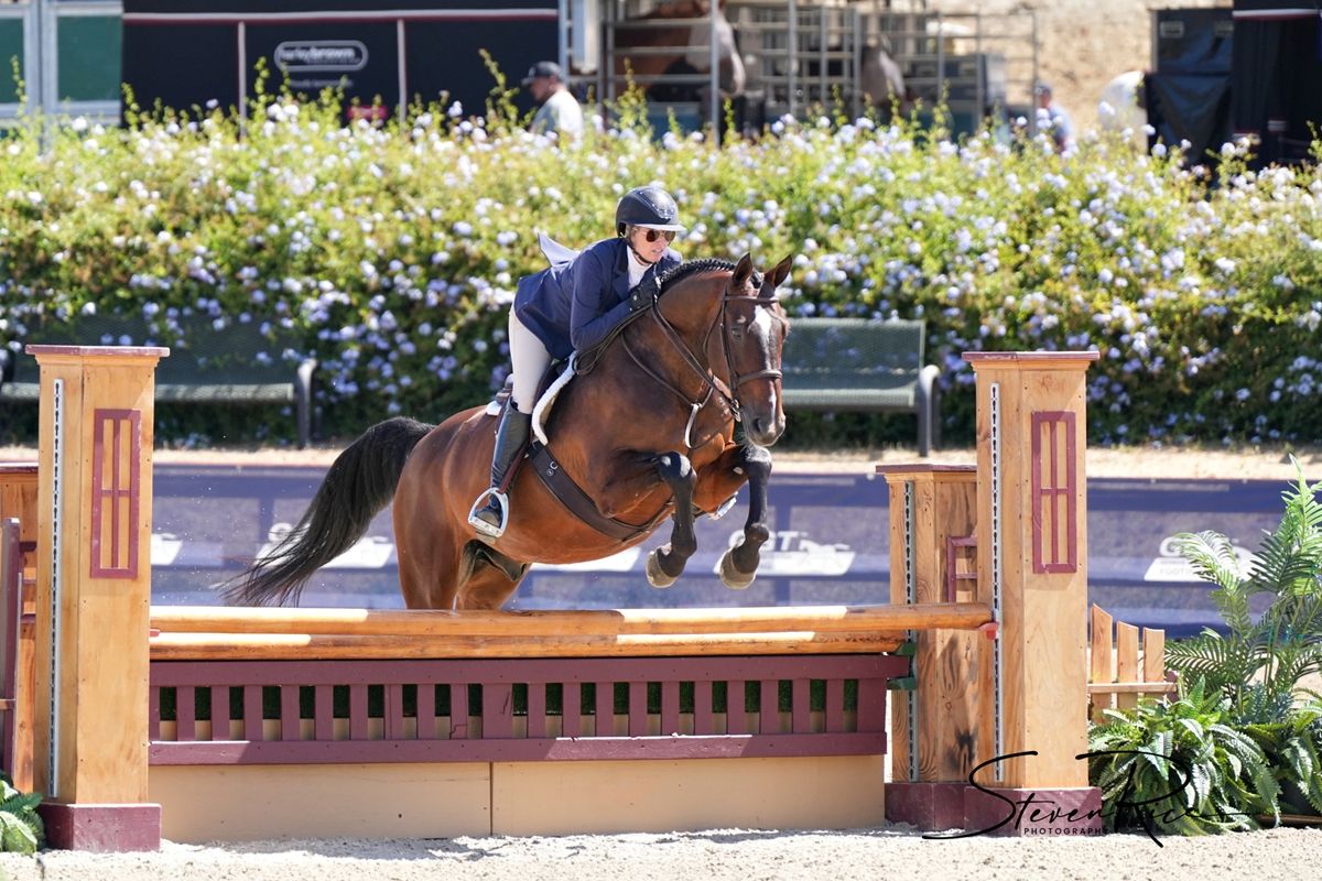 West Palms Silicon Valley Festival Hunter Jumper equestrian show, the Horse Park at Woodside