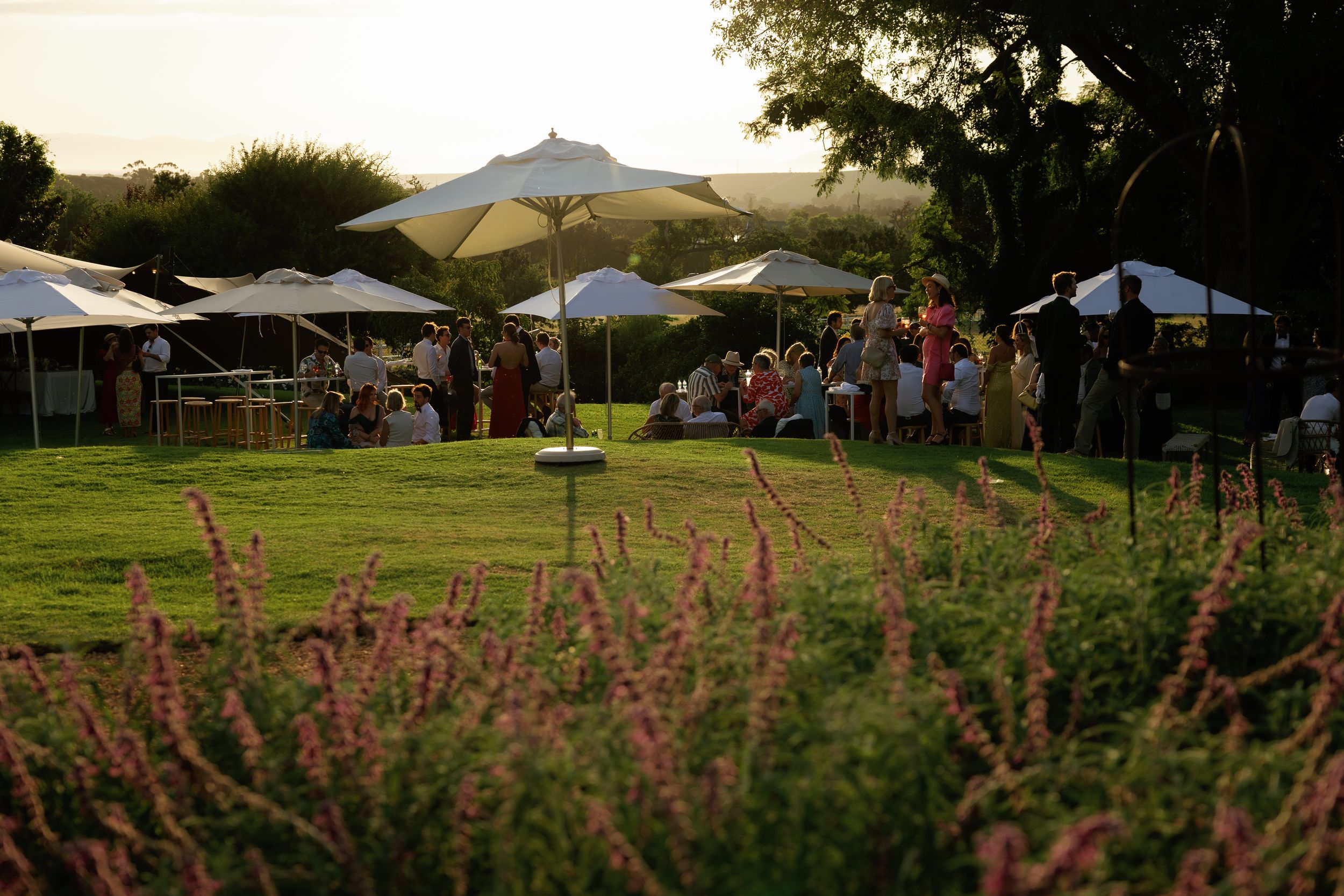 White event tents and umbrellas set up in a grassy outdoor venue with flowering plants in the foreground.