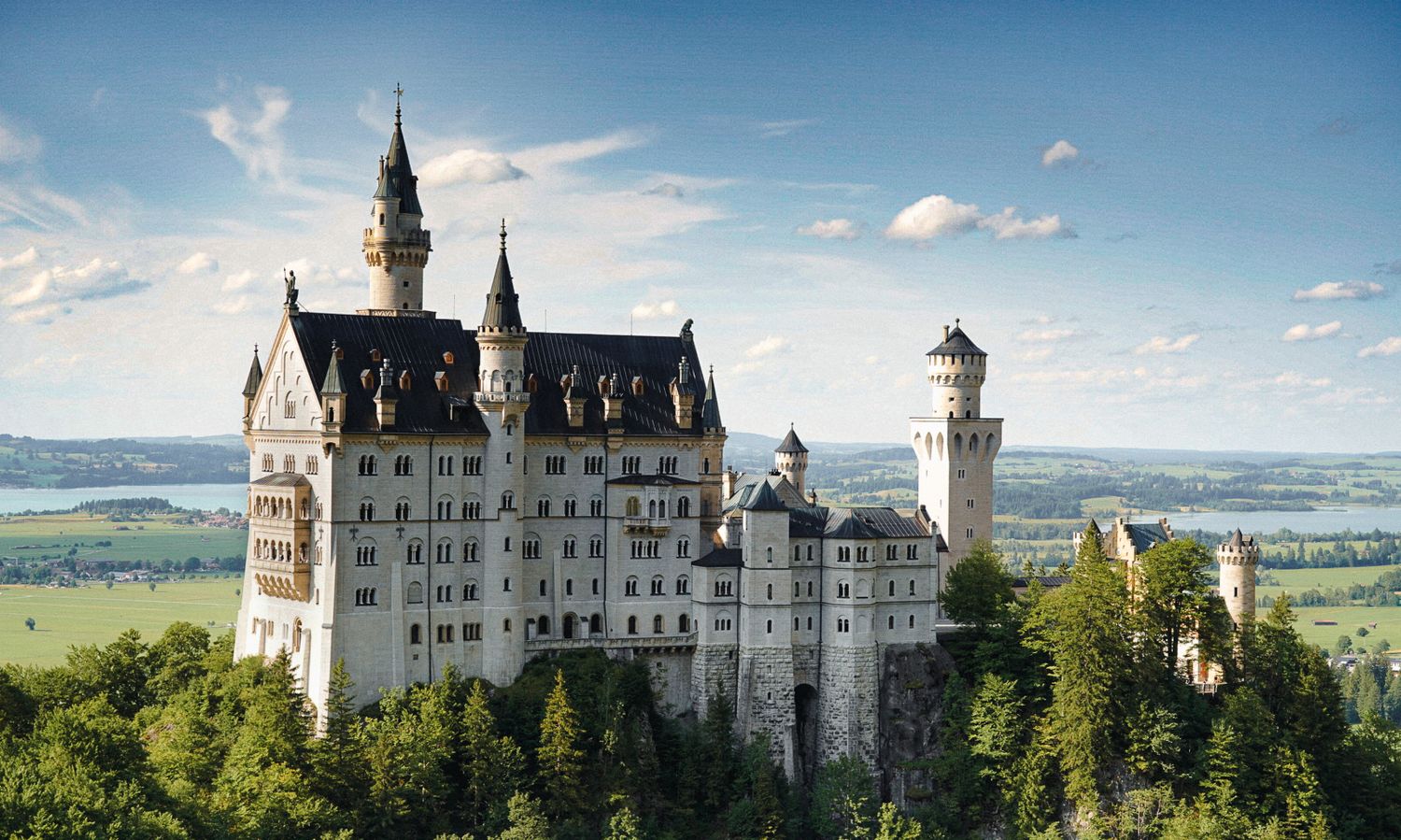 Neuschwanstein Castle in Bavaria rises majestically above the forest with its white towers against a blue summer sky.