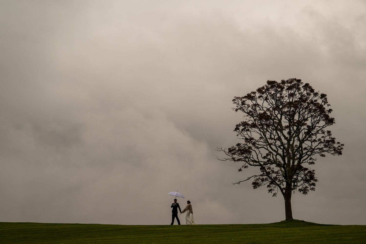 Couple holding umbrella walking near lone tree on green hill under dramatic stormy sky.
