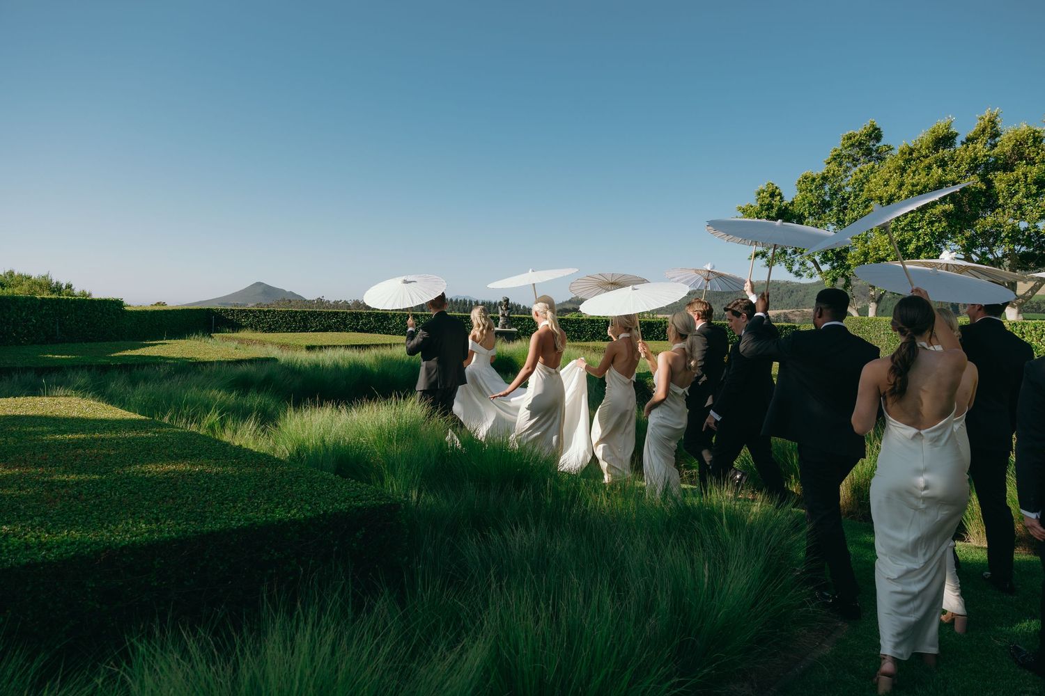Wedding party in white dresses walking through a green field with mountains in the background.