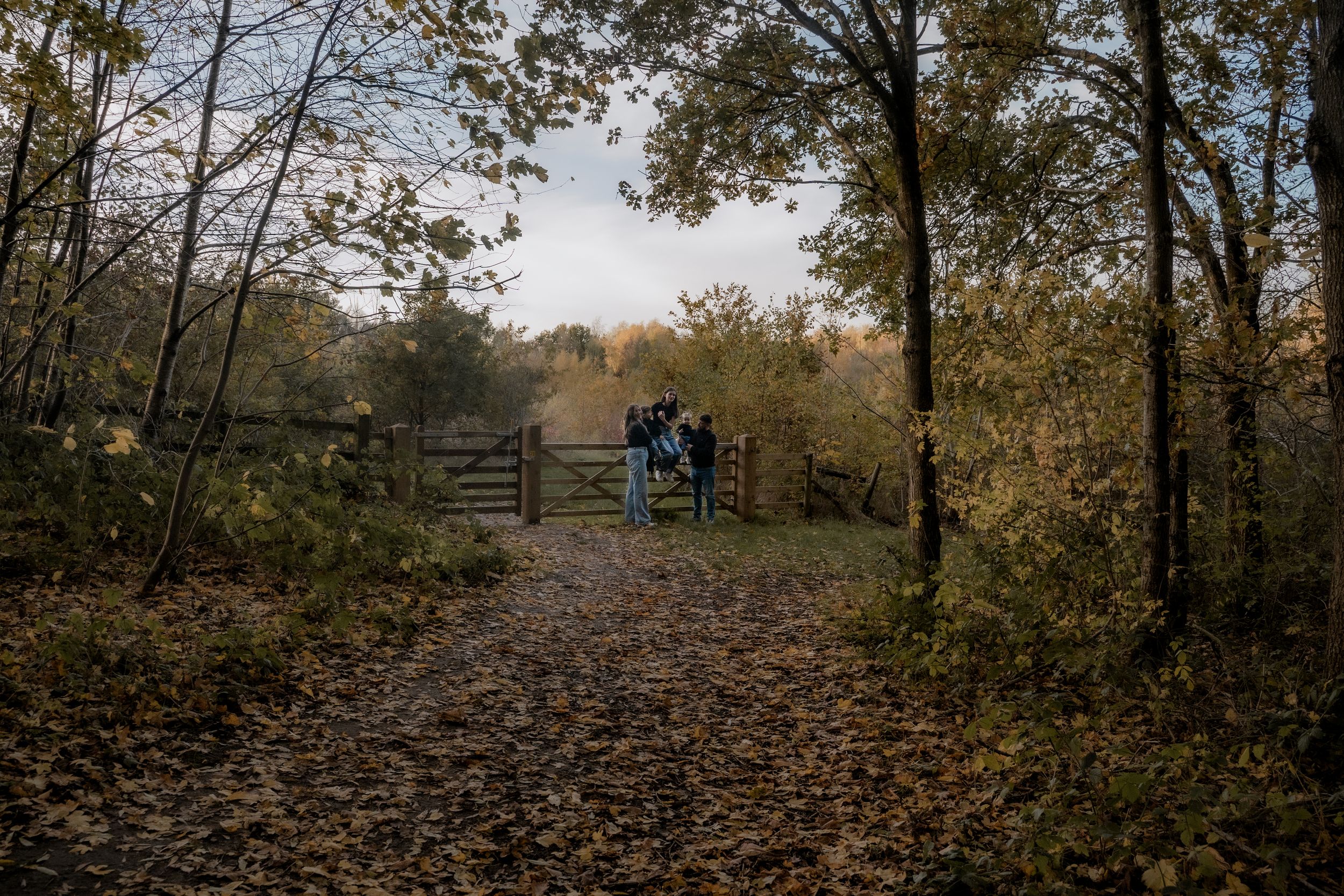 Scenic autumn trail through a wooded forest with fallen leaves covering the ground and trees lining both sides.