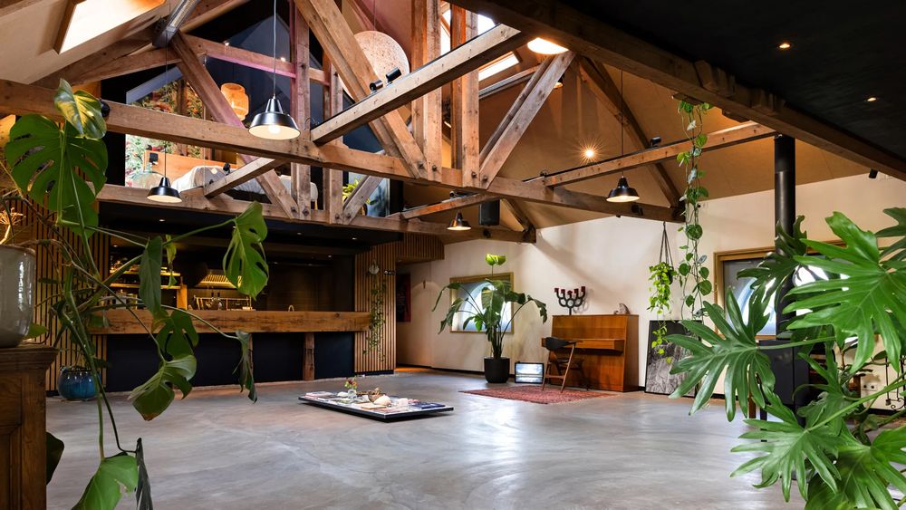 Modern loft-style room with exposed wooden beams, contemporary furniture and large potted plants by the windows.