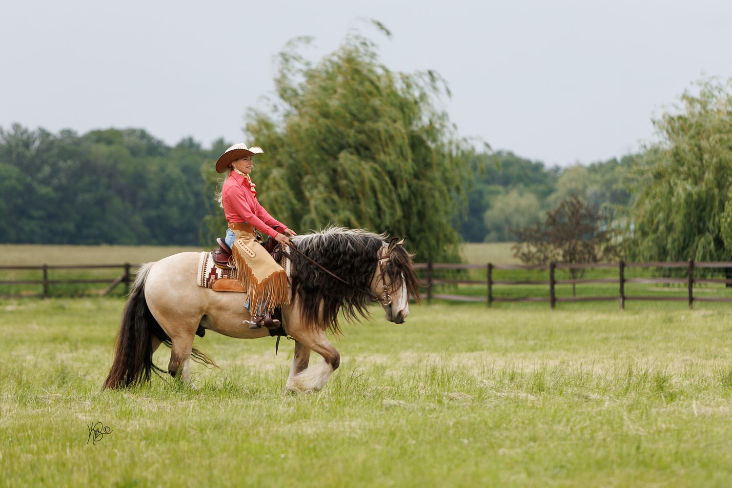 A woman in a pink western outfit riding her buckskin draft horse through a green field.