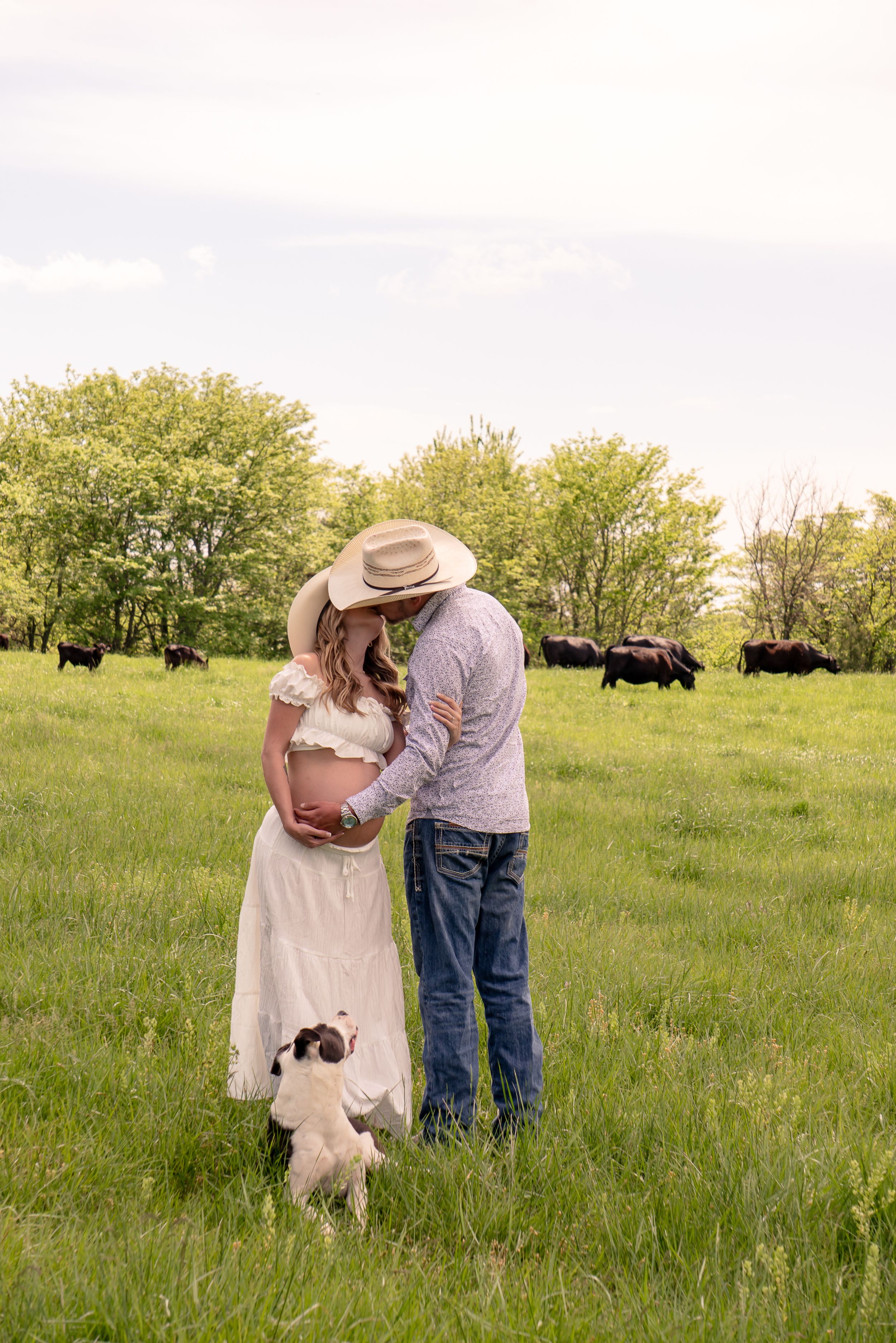 a couple emphasizing the lady’s pregnant belly, with their dog at their legs, looking at each other with trees and cows behind them.