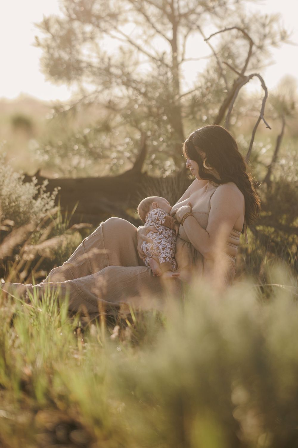 Mother breastfeeding newborn baby outdoors in warm golden sunlight among wild meadow grasses.