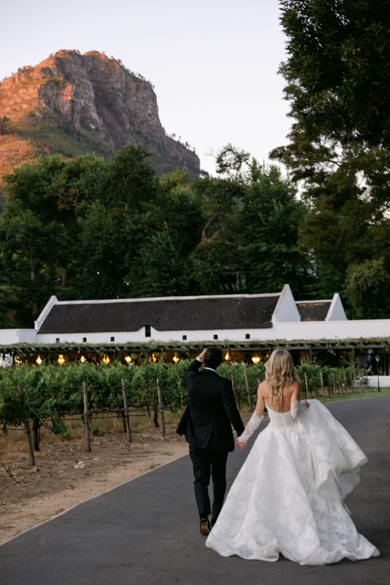 A couple in wedding attire walks along a vineyard path with dramatic mountain scenery at sunset.