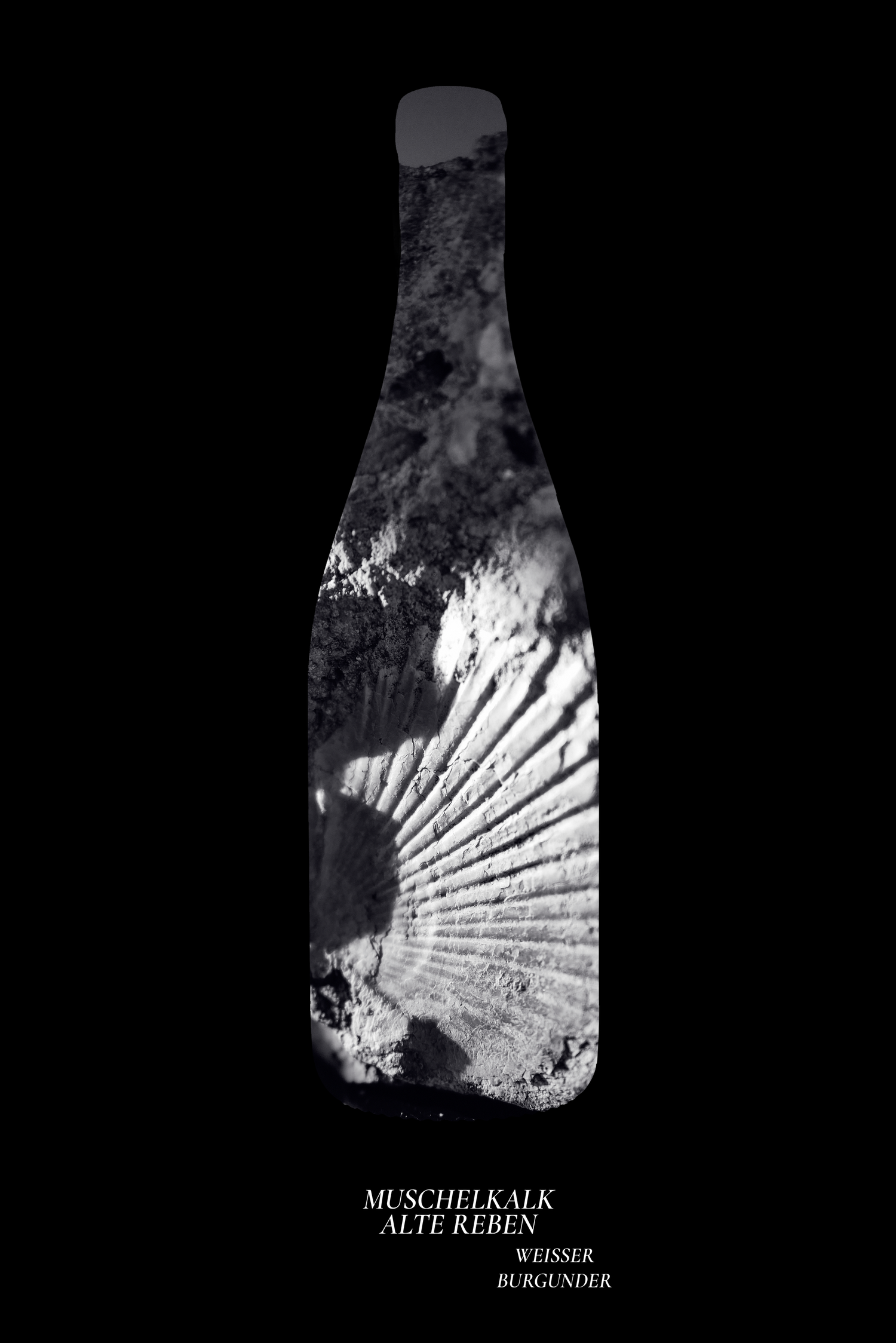 Artistic black bottle silhouette filled with shell fossil image labeled Muschelkalk Alte Reben.
