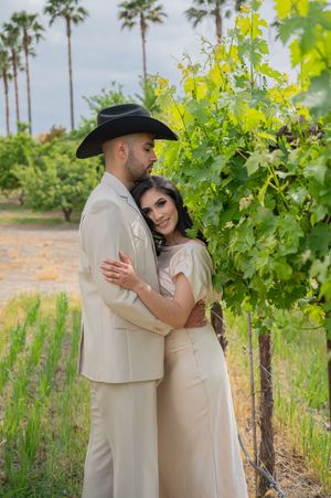 A couple shares romantic moments among the grapevines at a vineyard with palm trees in the background.