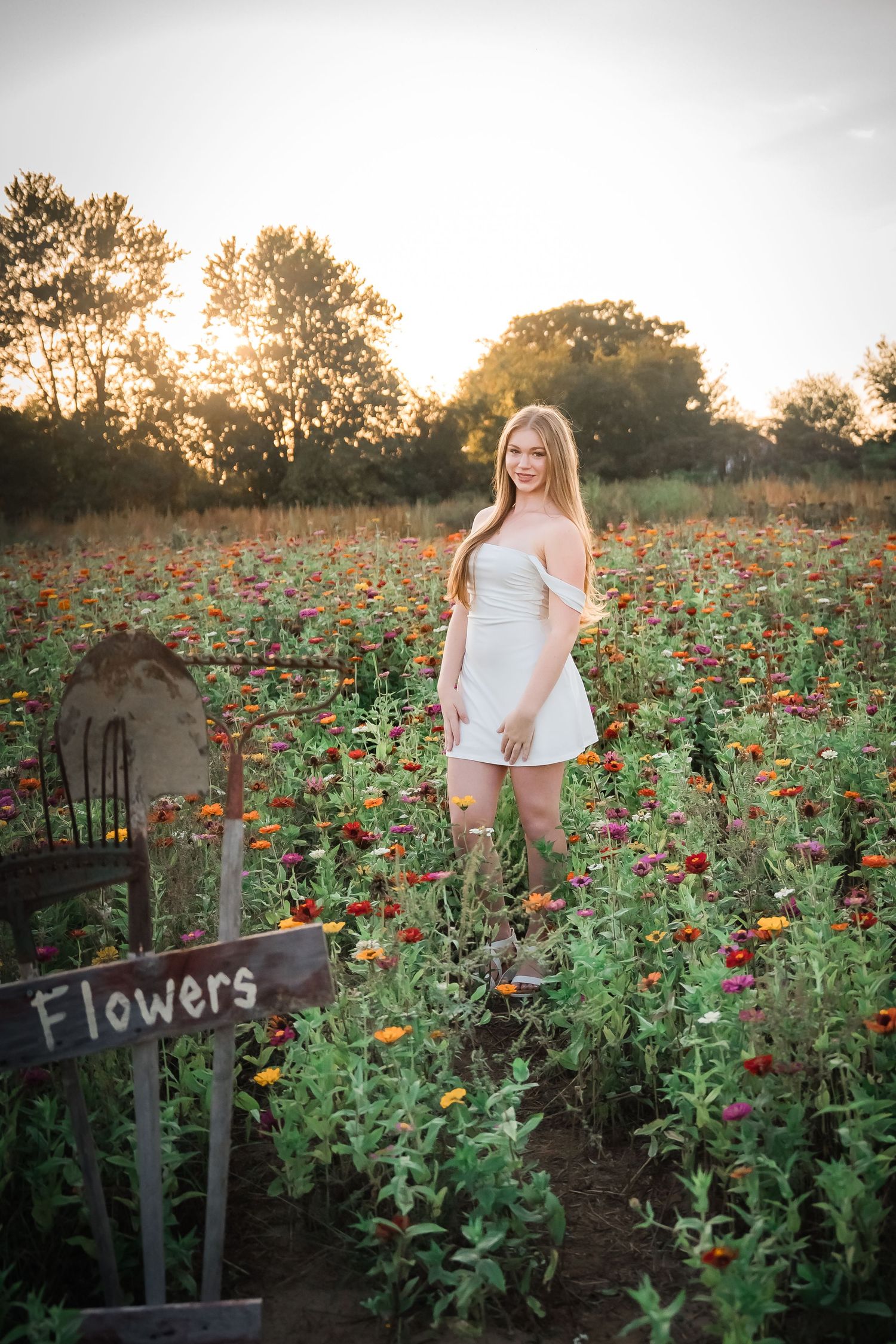 A beautiful field of red zinnias and wildflowers at sunset with rustic wooden signs marking the flower garden.
