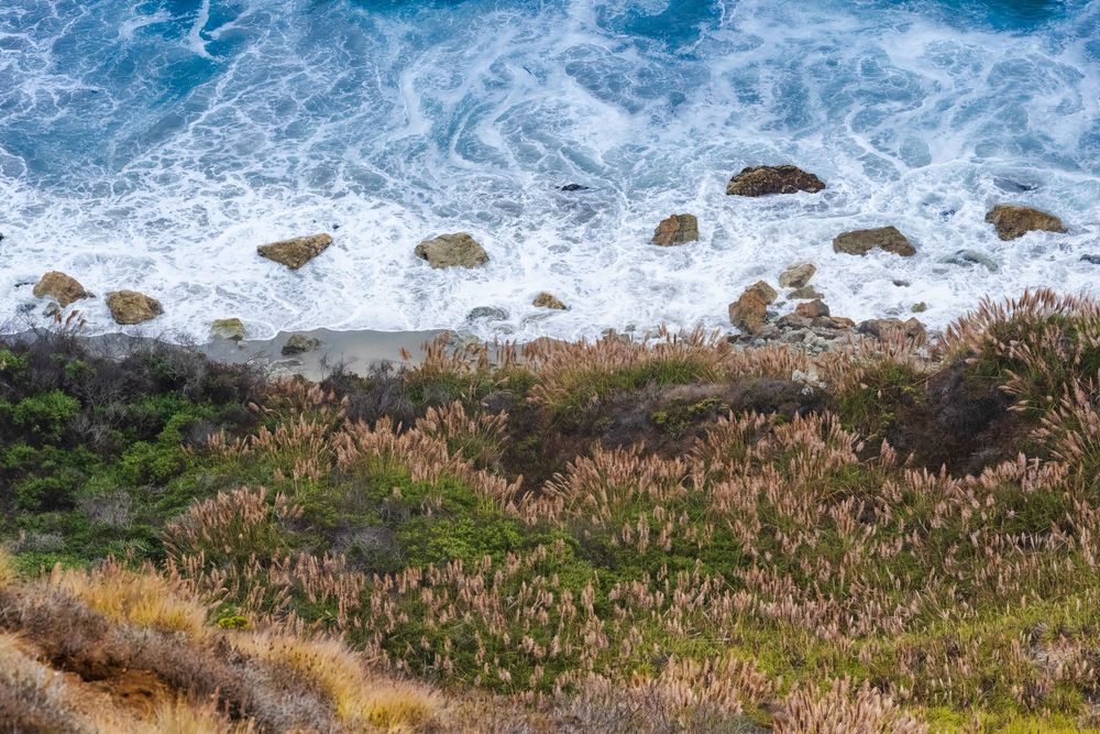 Aerial panoramic view of waves crashing against a rocky California coastline with native vegetation in the foreground.