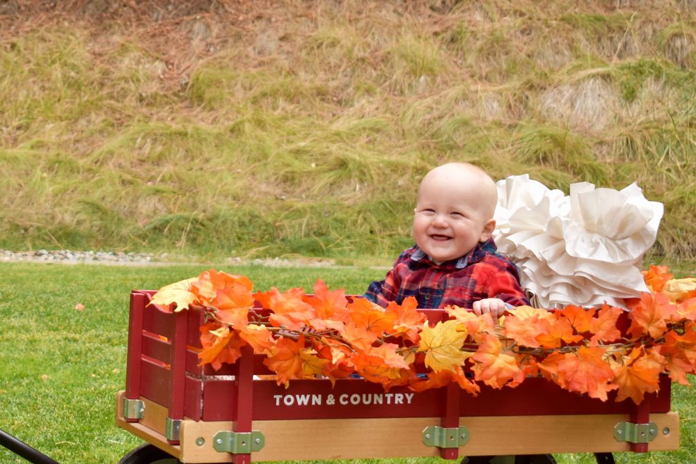 A small child sits in a red wagon decorated with autumn leaves.