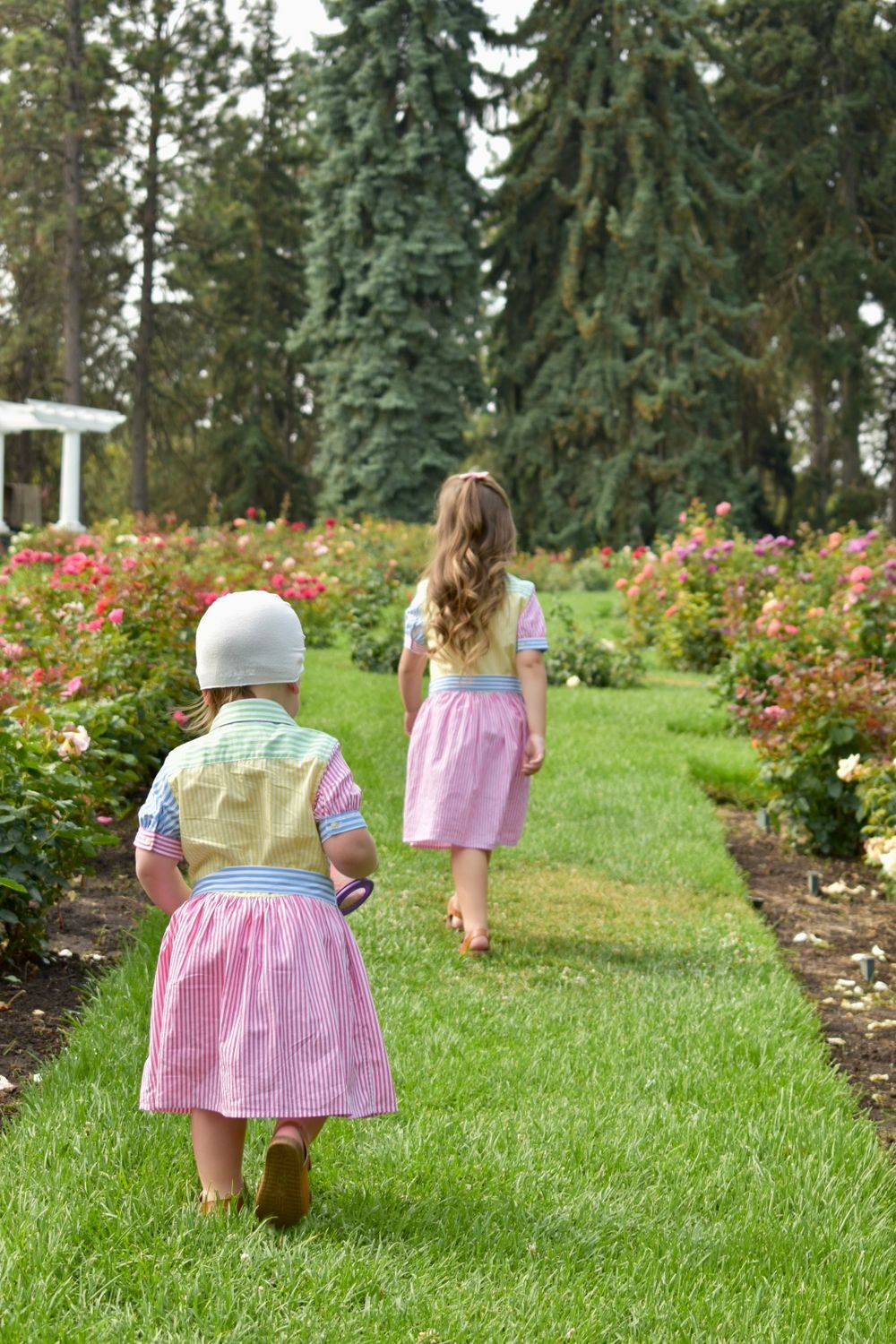 A little girl in a pink dress walks up a grassy path surrounded by rose bushes in a garden.