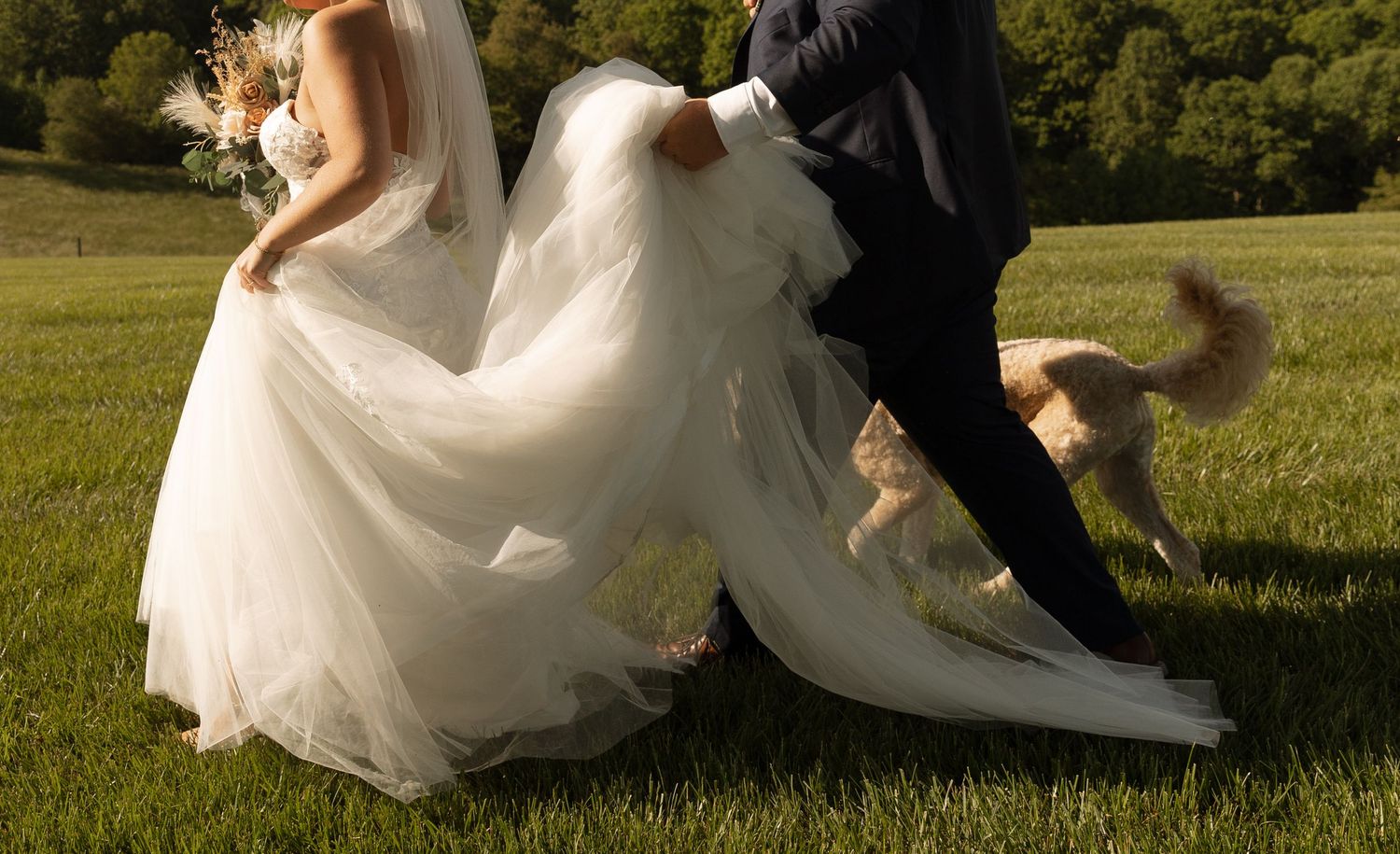 Winston Salem Wedding Photographer, NC photographer, wedding photographer, documentary photographer, Morgan Brown Photo, Portraits, Weddings