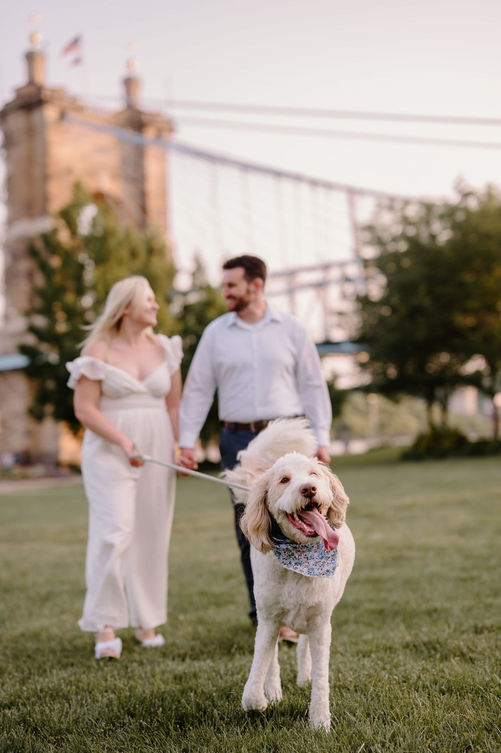 A fluffy Goldendoodle on a leash leads a couple walking hand-in-hand on green grass near a bridge.